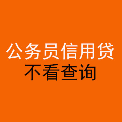 鲁山公务员信用贷款